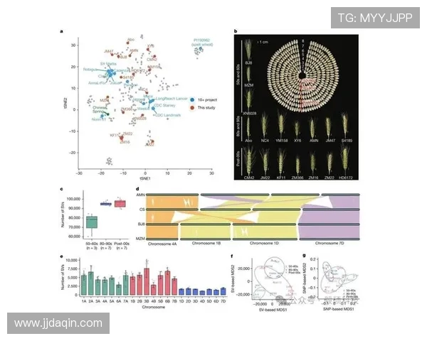 杭州滑板队耐力表现数据分析揭示训练效果与运动员潜力