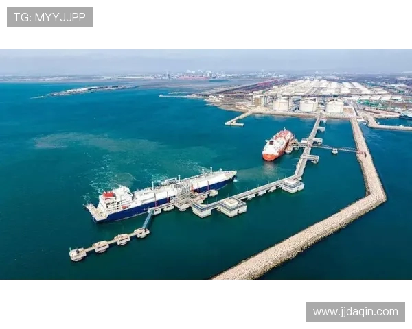 青岛国信水产引领海洋产业创新发展助力绿色生态与可持续渔业建设