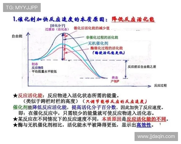 以体育运动为核心推动全民健康与社会活力全面提升的战略研究分析