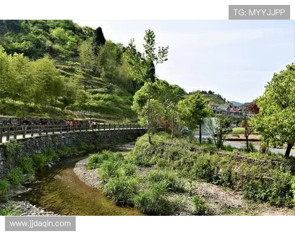 布莱克尼的魅力探索：揭开这座小镇的历史与文化之谜